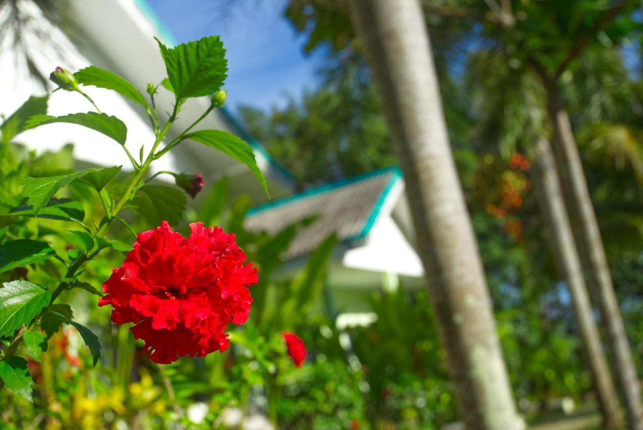 Sea View Resort เกาะหมาก ภายนอก รูปภาพ